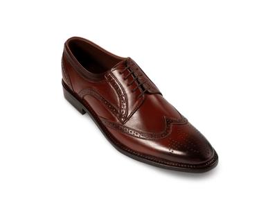Edwin Brown Lace-Up – Premium Handcrafted Brown Leather Shoes for Men